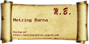 Metzing Barna névjegykártya